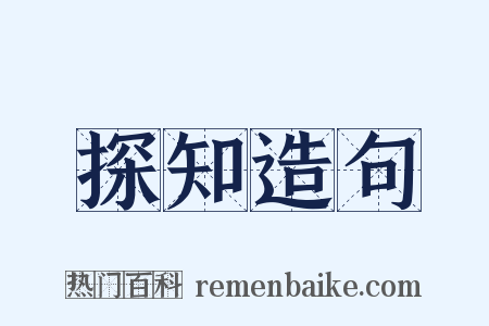 探知造句是什么意思的图片